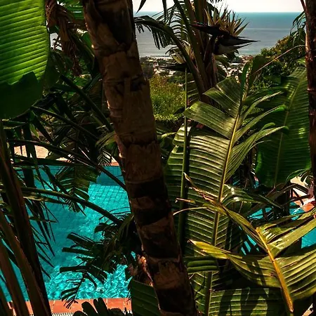 Pool Appartament Apartment Forio (Isola d'Ischia)
